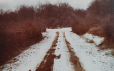 Paysage en hiver