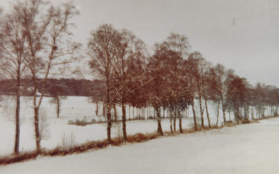 La Wartoise – Paysage en hiver