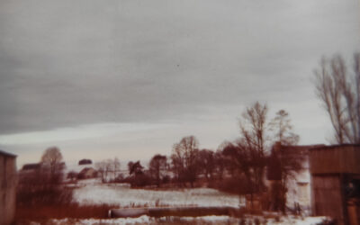 Le Vieux Gauchy – Paysage en hiver