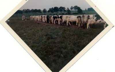 La traite en prairie