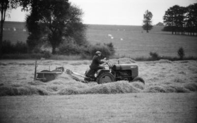 La fenaison